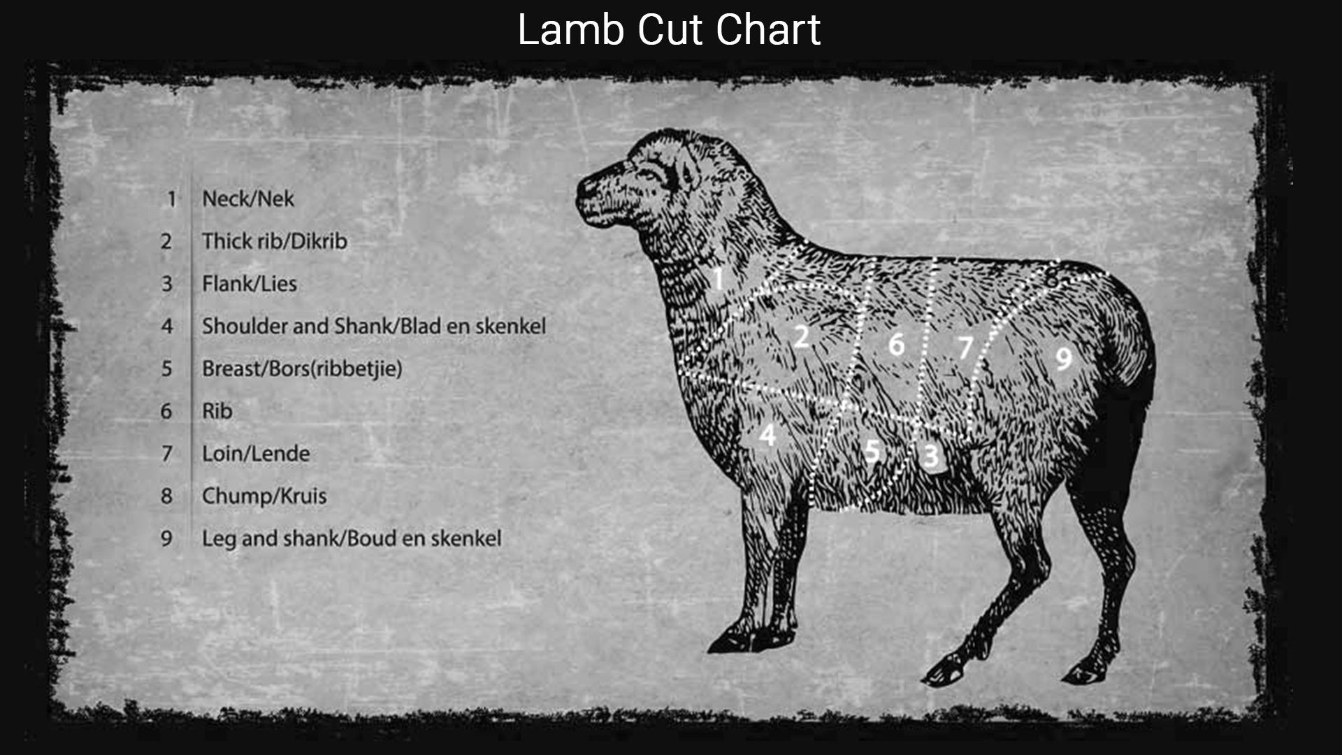Lamb Cut Chart
